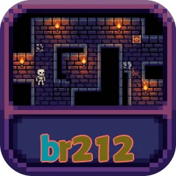 br212